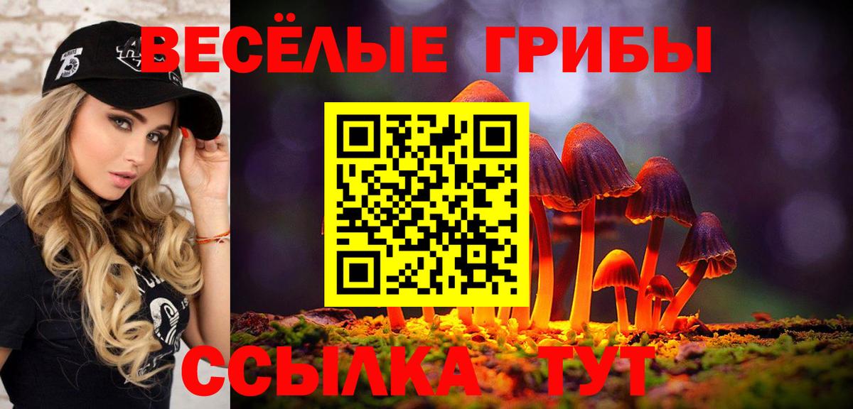 Галлюциногенные грибы Cubensis  Вход с VPN  цены   Дедовск  Галлюциногенные грибы прущие грибы 